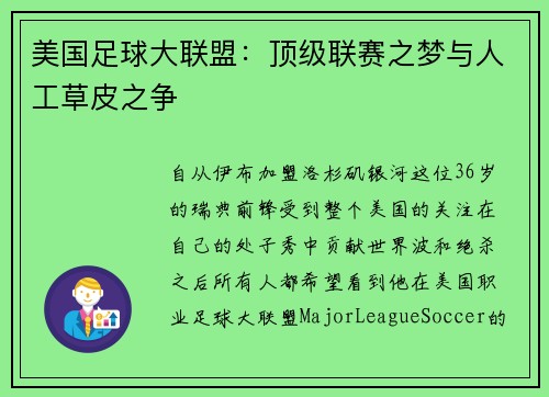 美国足球大联盟：顶级联赛之梦与人工草皮之争